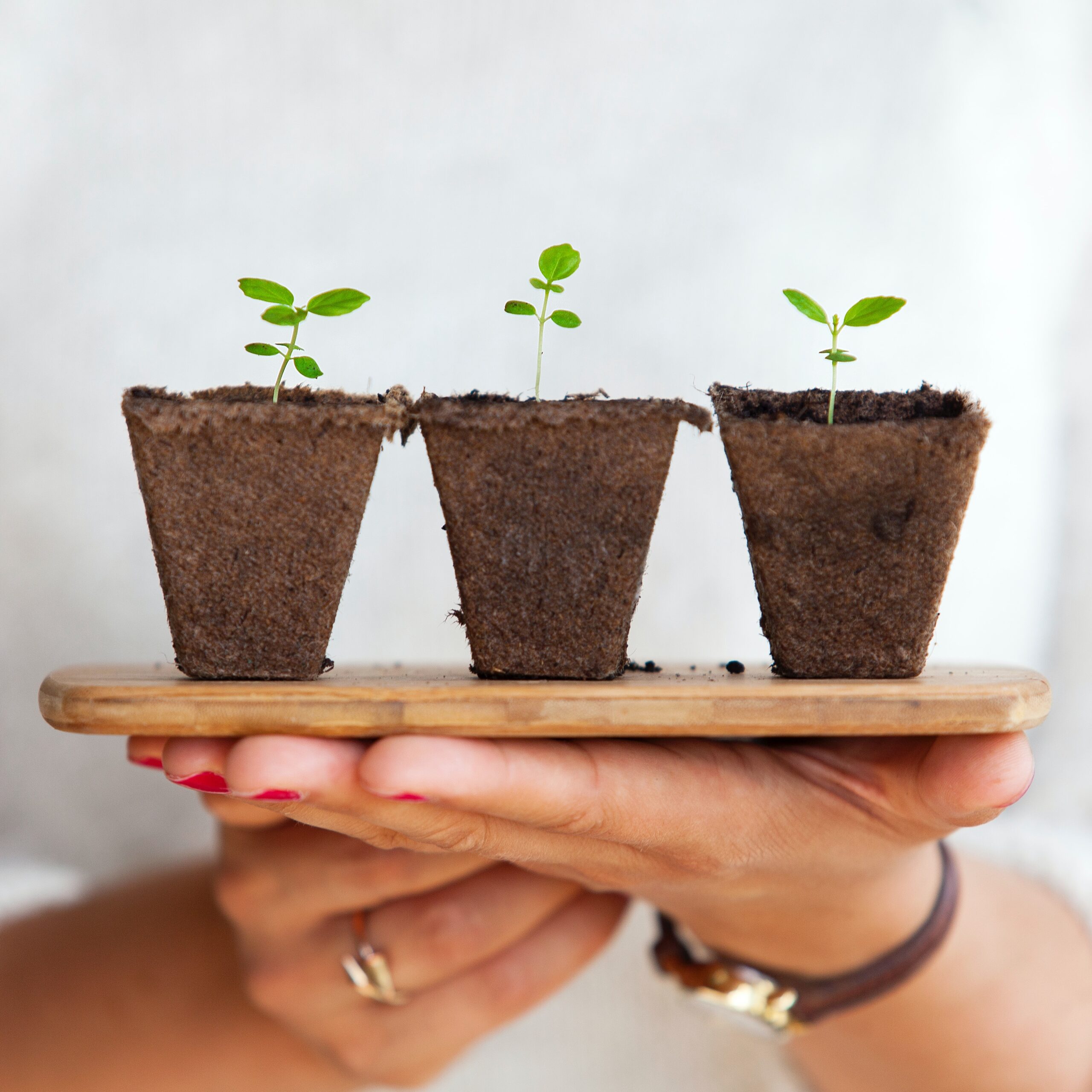 CRM for Network Marketers - Grow Your Team and Business with Teamzy