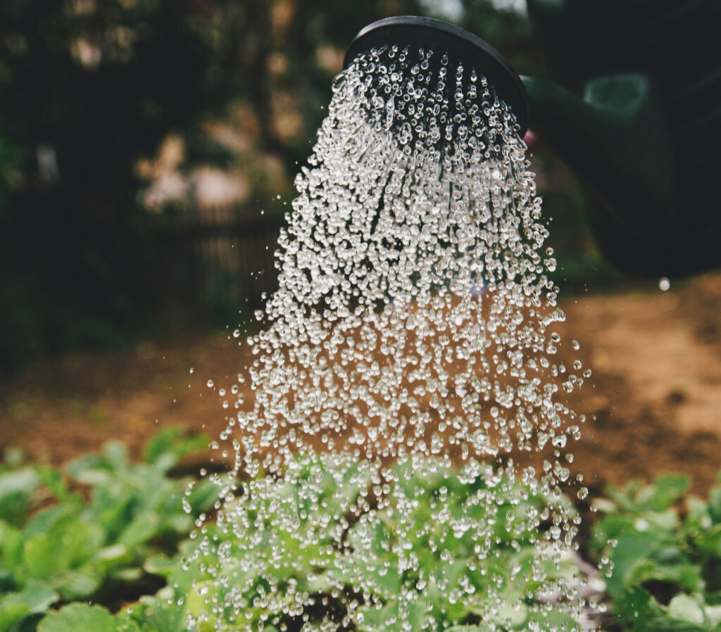 markus-spiske-sFydXGrt5OA-unsplash